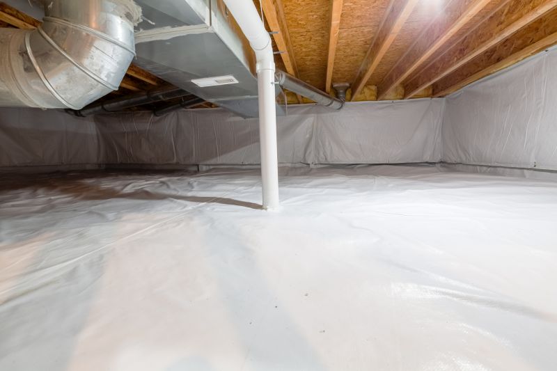 Crawlspace Water Cleanup in Chandler, AZ