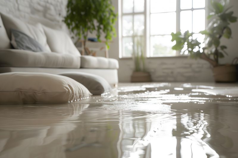 Flood Damage Repair in Chandler, AZ