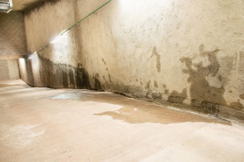 Wet Basement Solutions in Greenville, SC