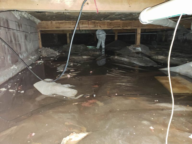Wet Basement Waterproofing